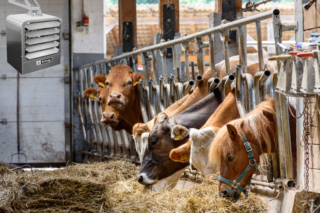 Livestock Article Thumb Template-1024x683