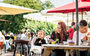 Mist Kit_Application2-300x185