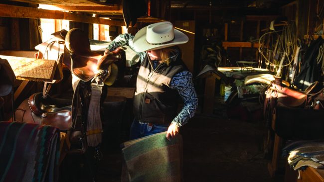 Farmers working in greenhouse Two farmers planting seedlings together in the greenhouse